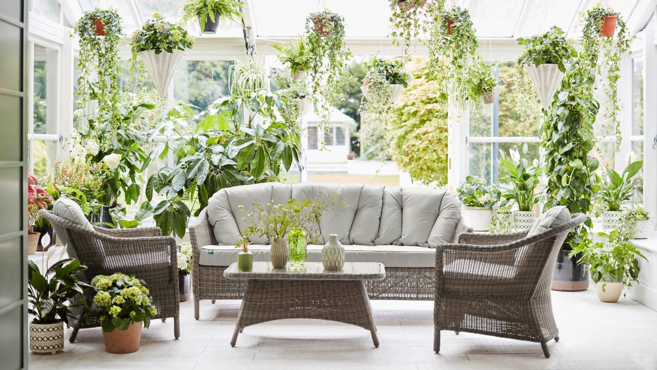 How to Create a Stunning Rodgers Plant Display at Home