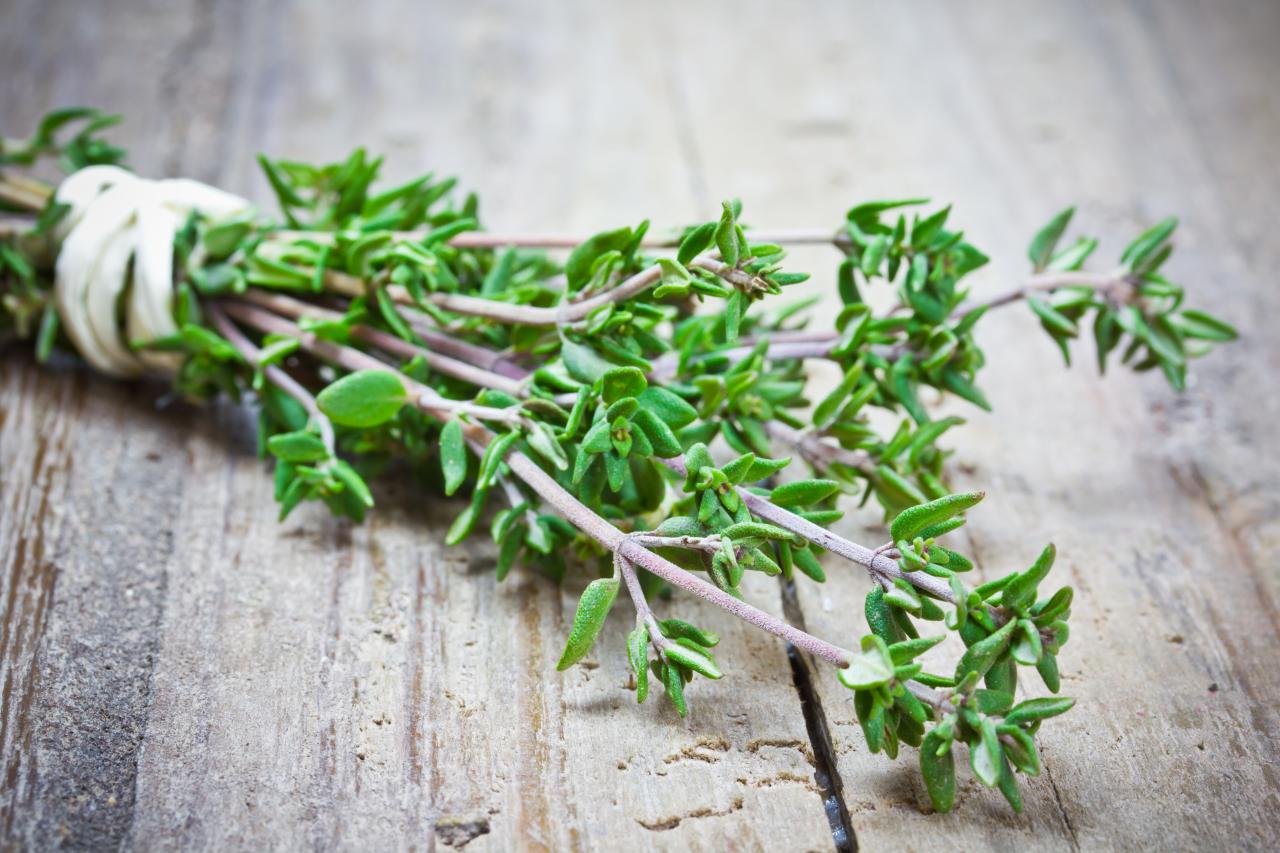 Why Thyme is the Perfect Herb for Every Recipe