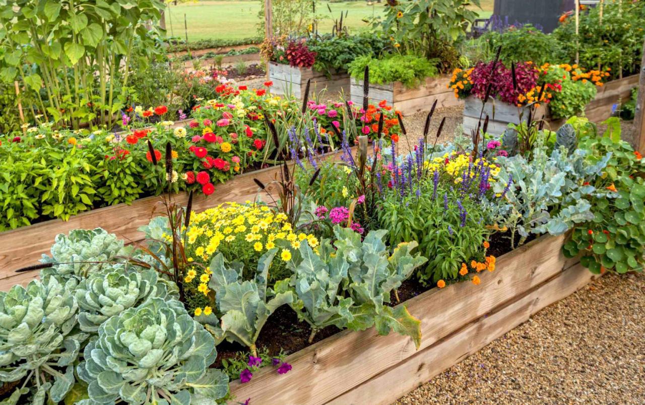 Raised Bed Gardening Mistakes: Plants to Avoid